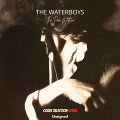 The Waterboys "The pan within" (Coqui Selection Remix)