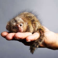 Just hold me a lil' :)