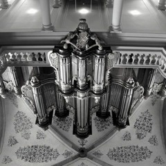 Technosphere & Fragmentation (Excerpt)