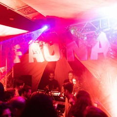 Nito b2b Papaya Salad @ Fauna & Friends - Bridge Hotel