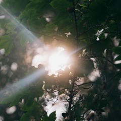 Slightly Silly Story That Is Invisible to You