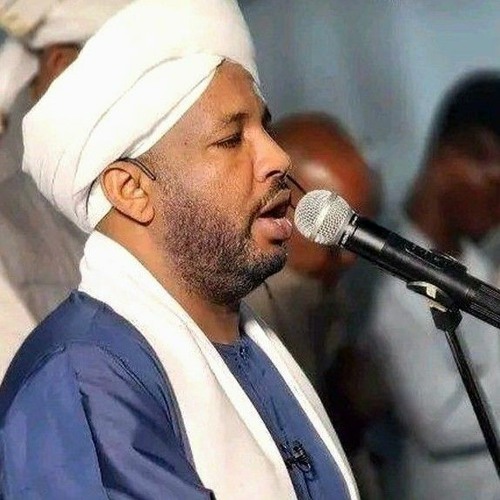 الشيخ الزين محمد أحمد سورة البقرة