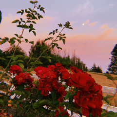 Do No Wrong (feat. Noy)