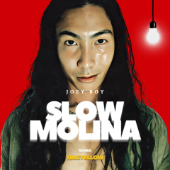 Slow Molina ขึ้นให้สุดต้องลงให้มิด (Yingyellow Remix)