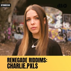 RENEGADE RIDDIMS: charlie.pxls