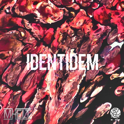 - IDENTIDEM -