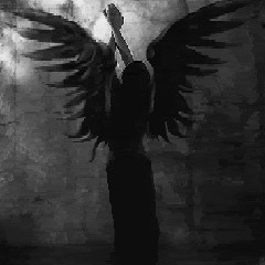 BARRACUDA (0FF +H3 URB)