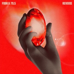 DC Promo Tracks: Fouk & 79.5 "Reverie" (Instrumental)