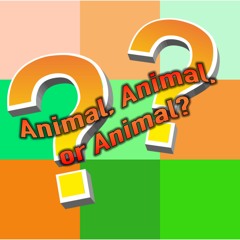 Animal, Animal, or Animal?