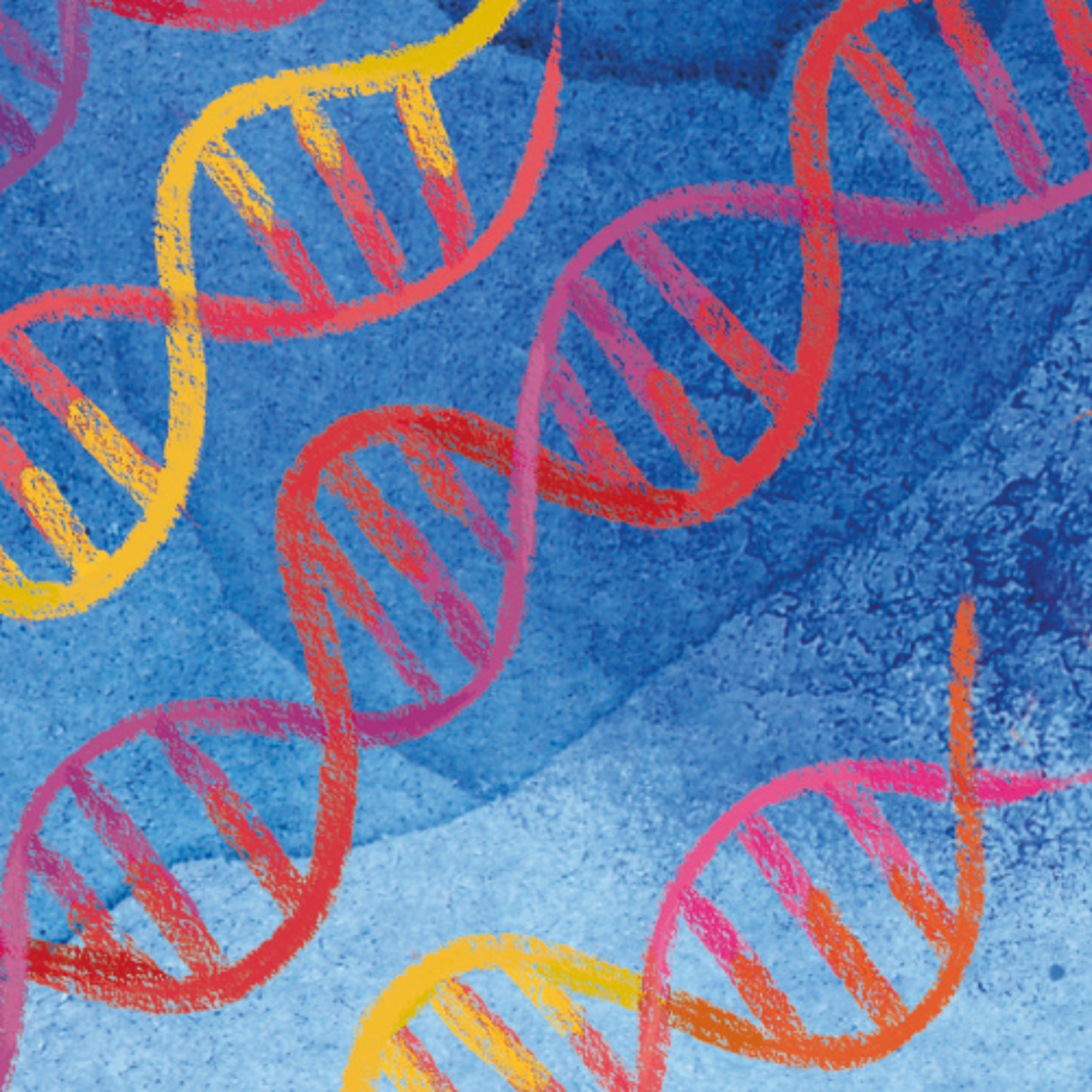 Le Cercle des Musiques Disparues