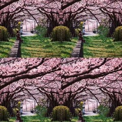 Organic Flex ( 有機柔性 )