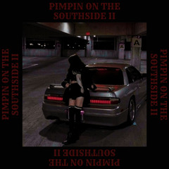 MXNVDV - PIMPIN ON THE SOUTHSIDE II