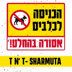 T N' T- פאק מחבלים DEMO