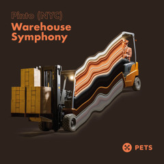 Pinto (NYC) - Warehouse Symphony (Pinto's One Two Edit)