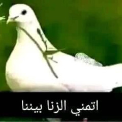 Pweepa – N0body (feat. Thomas)