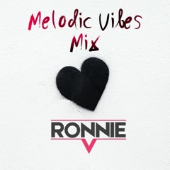 Melodic Vibes Mix 10