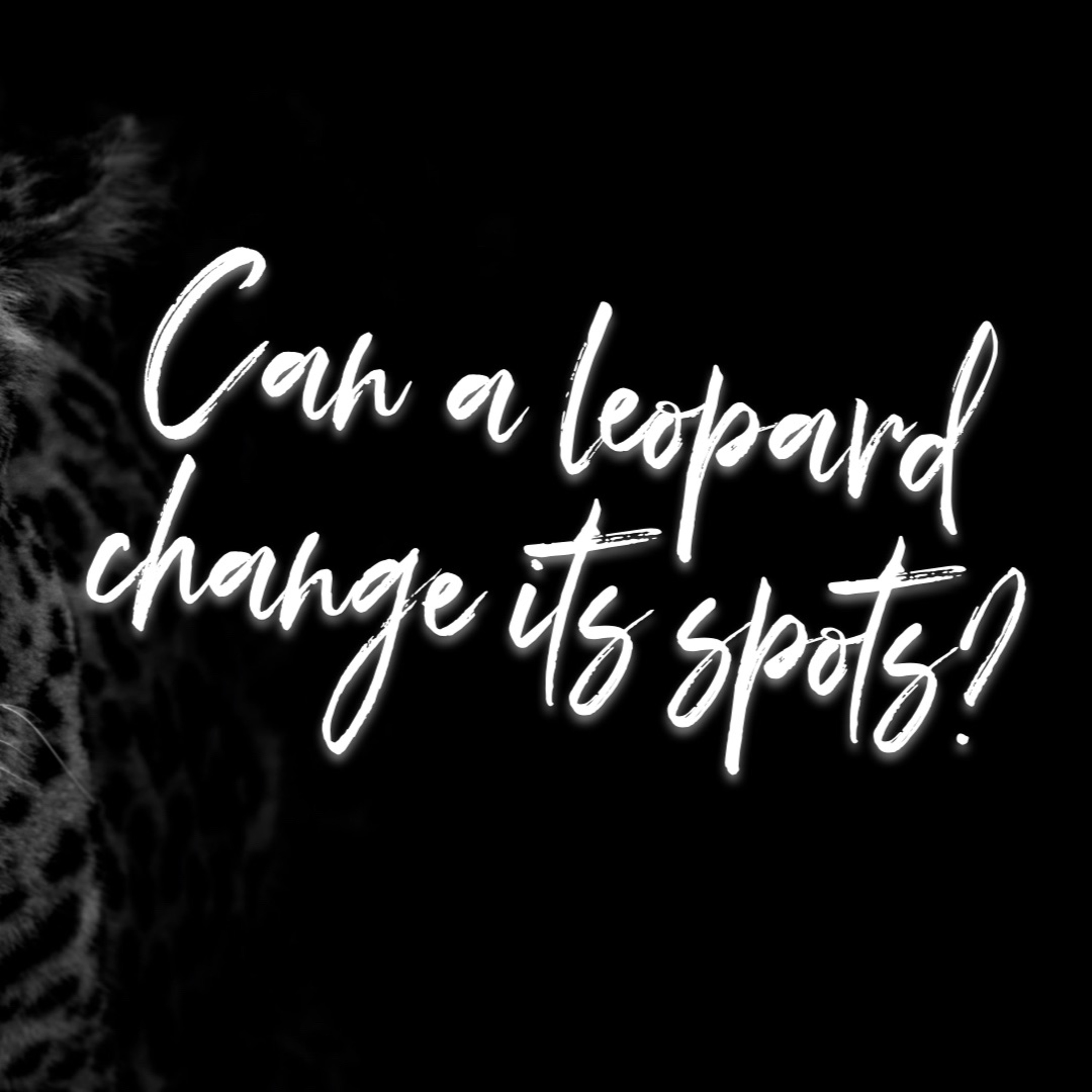 True Change | Can A Leopard Change Its Spots Series | Episode 1 episode artwork