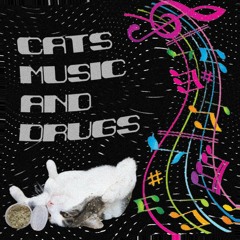 Cats, Music and Drugs
