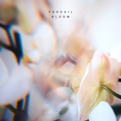 Faodail - Bloom