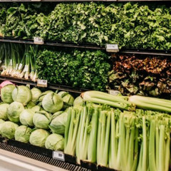 CELERY