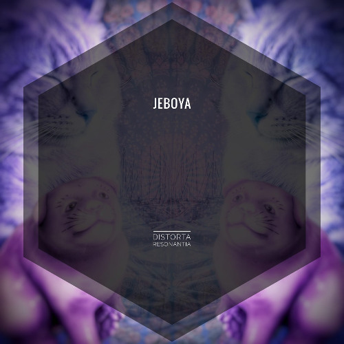Jeboya Spring 2025: Distorta Resonantia