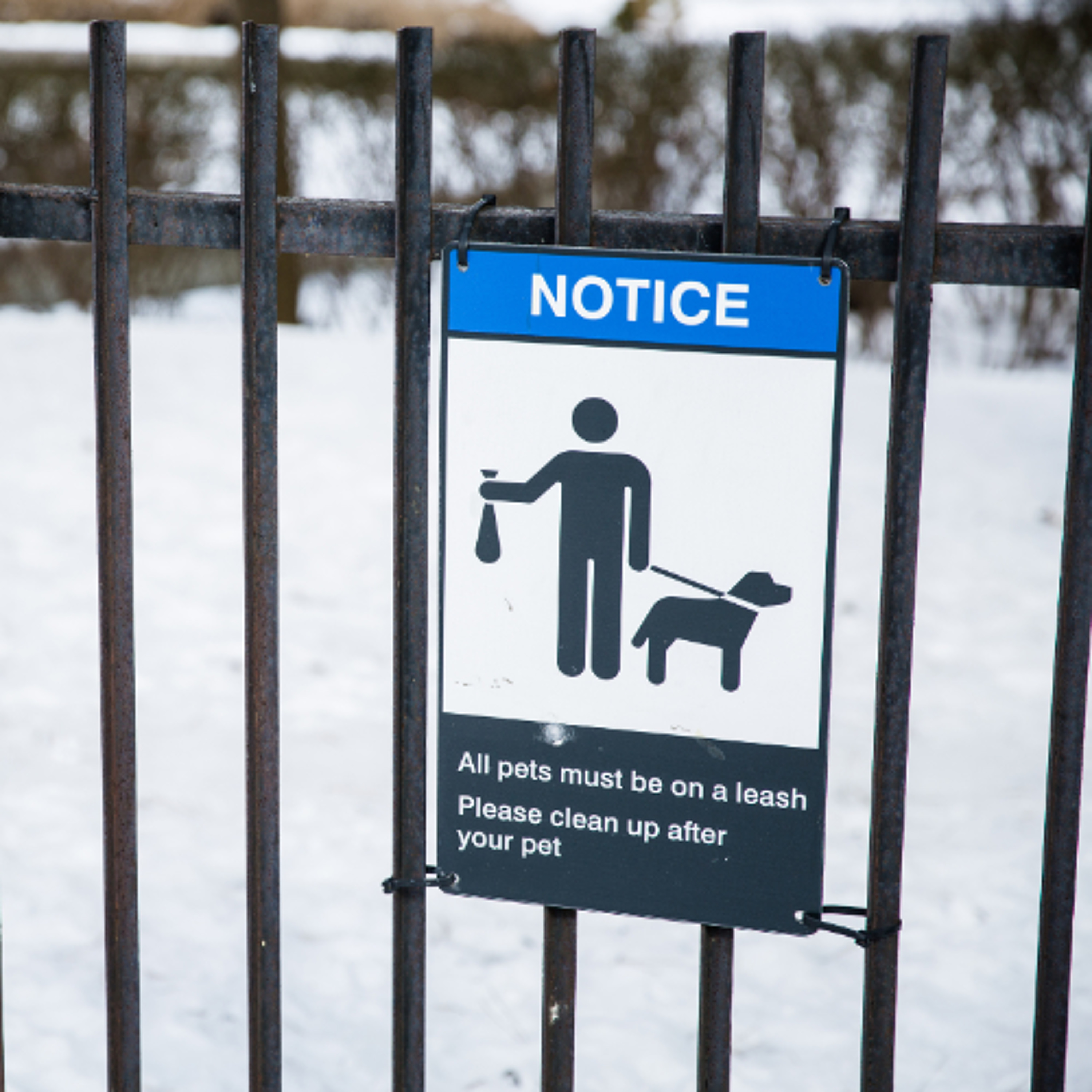 Littering & Dog Fouling Fines To Rise In September with funding to be announced for dumping CCTV