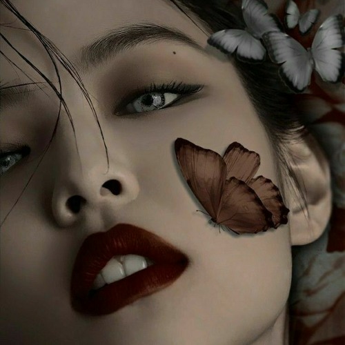 tropical house dj list