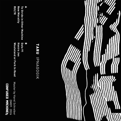 PREMIERE: Taru - Wasteland Or Fork In Road [Confused Machines]