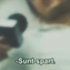 Sunt Spart