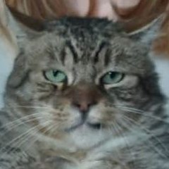 PALPLATINE - FAILURE