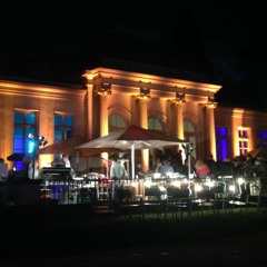 Forgotten Tape @ Palmengarten FFM by Saltopá