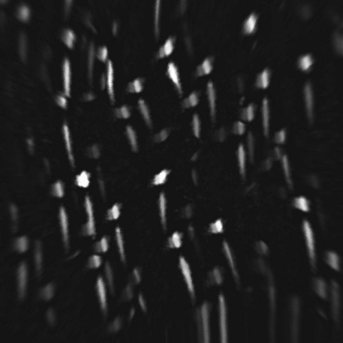 TMS (XandroR2 + JThousand)