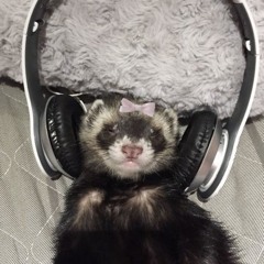 ferret type beat