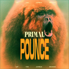 Premiere: NOOYENS - Primal Pounce