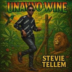Stevie Tellem Unavyo whine .mp3