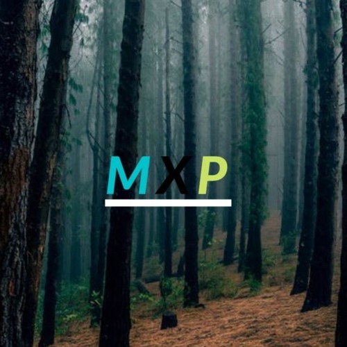 Basslines // V1 // Bassline, Jackin, Minimal