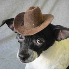 6 Dogs - Indiana Jones CDQ (Prod. Blacky Tom)