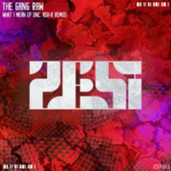 The Gang Raw - What I Mean (ASH - R Remix)