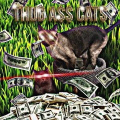 Thug A$$ Cat$ (With Yung Proclamation)