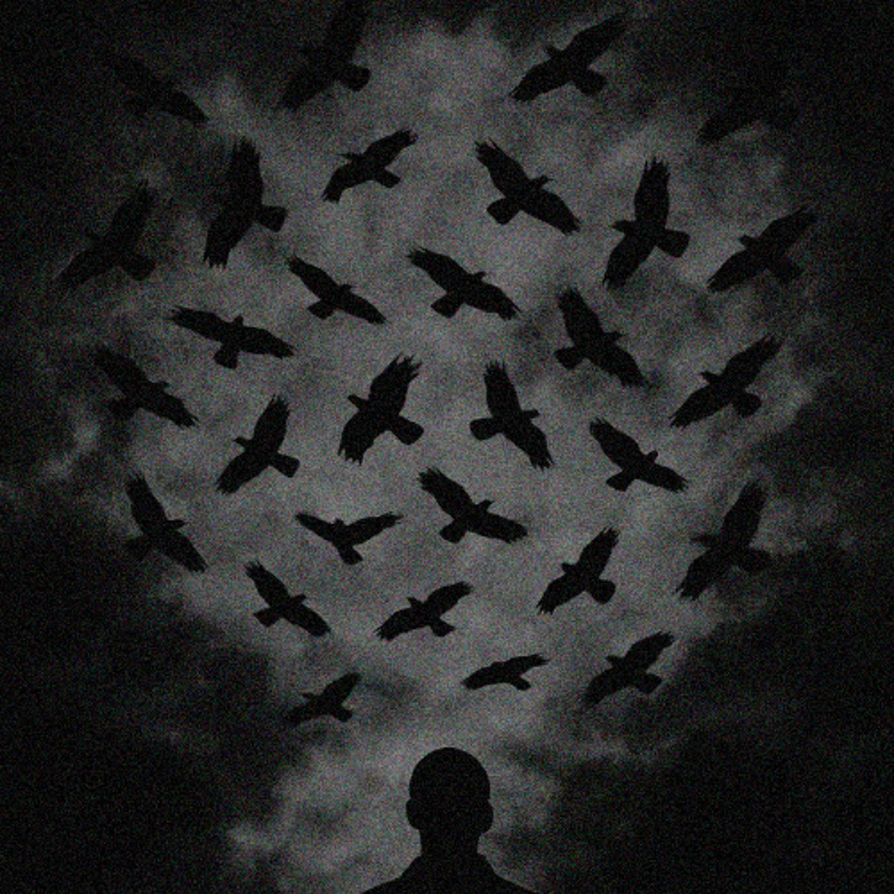 31 CROWS (LEAK)