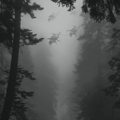 Irruption