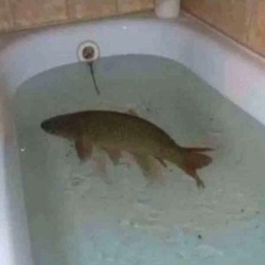 purple_spacecraft_87.037