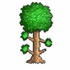 terraria music