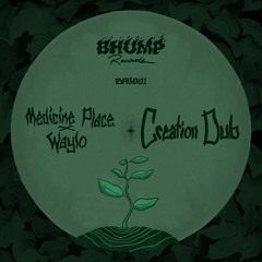 Medicine Place X Waylo - Creation Dub (BRS001)
