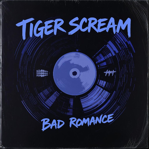 Bad Romance (poppunk cover)