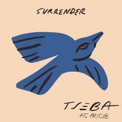 Surrender (feat. PRICIE)