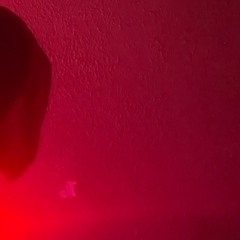 KA$HINDULA-Oppisition (prod.Tenferno)