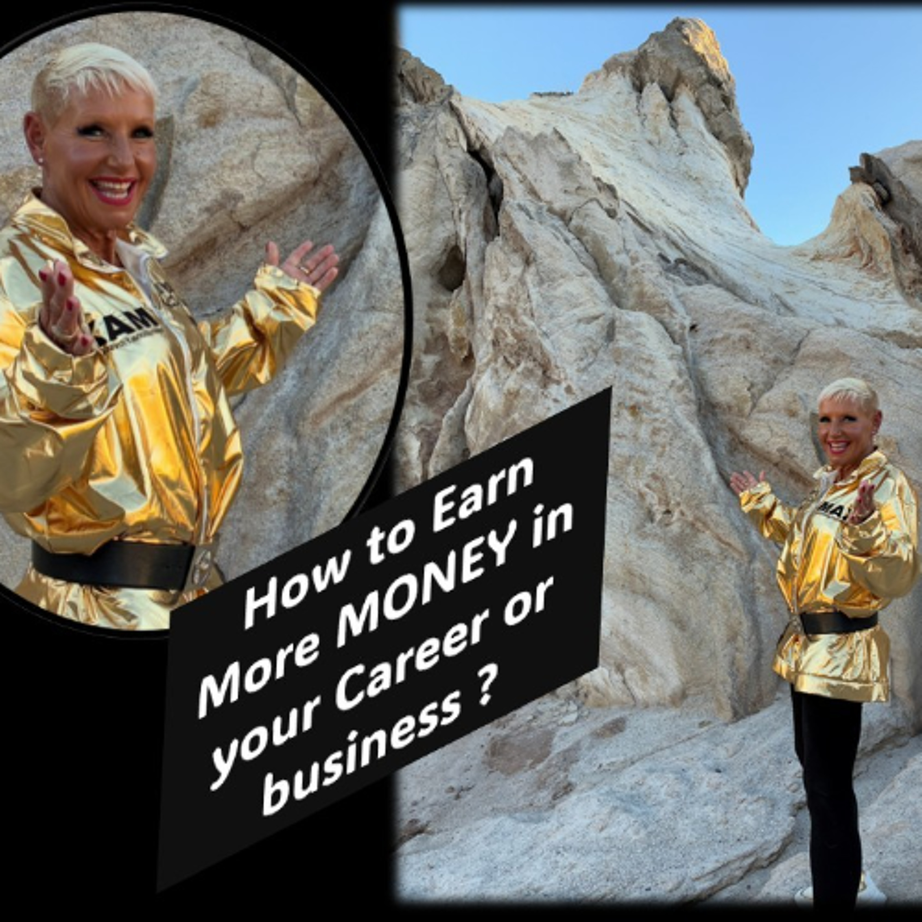 Your business or Career…How to Earn More Money...with Rowie McEvoy