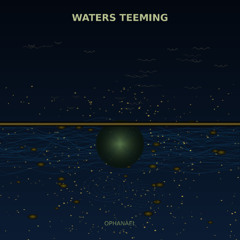 Waters Teeming - Remix
