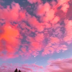 dreamlike